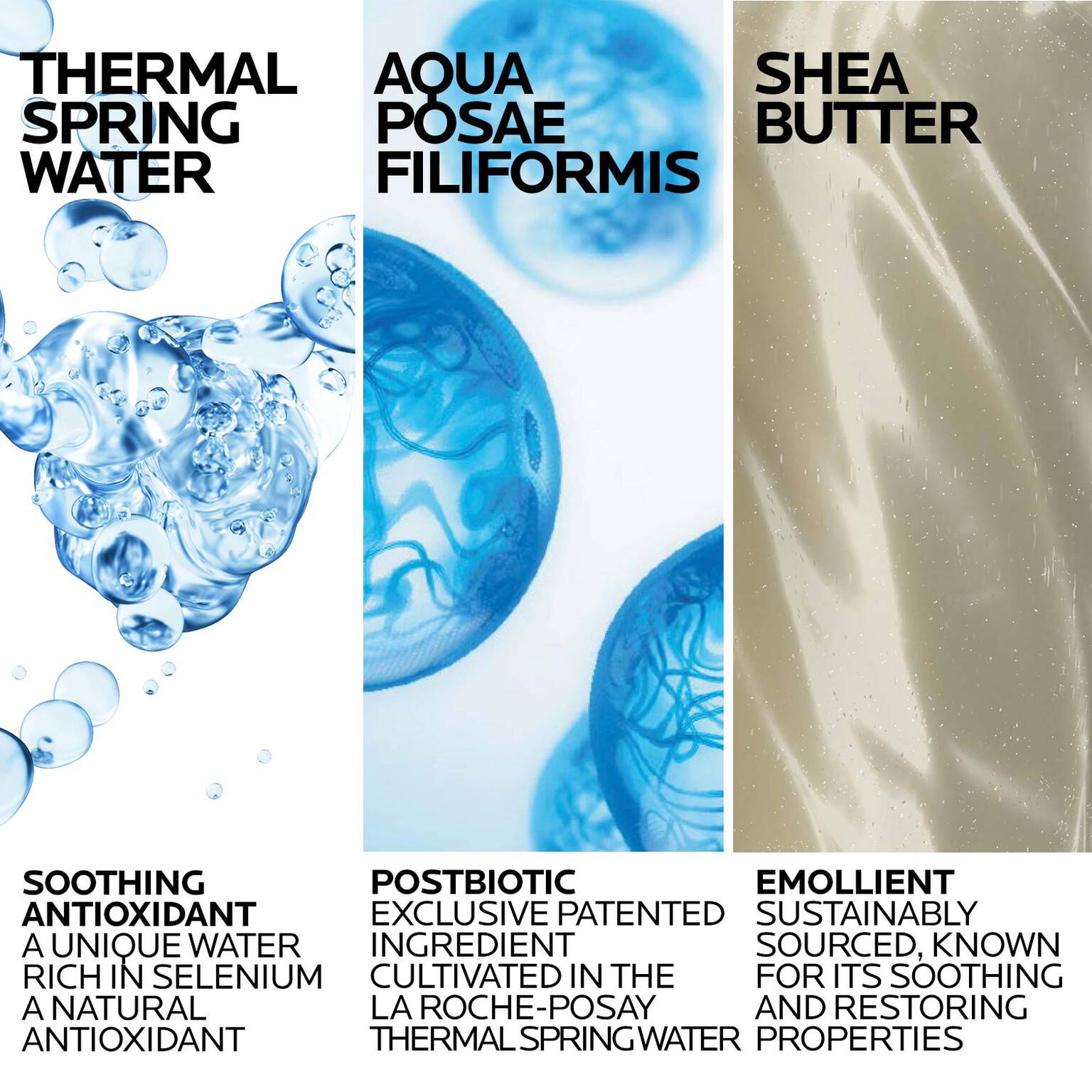 lipikar-wash-ap-moisturizing-body-and-face-wash-l9 Lipikar-Wash-ingredients_1500x1500-REV.jpg